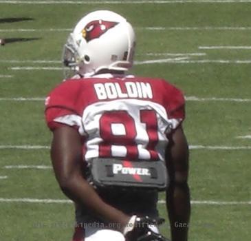 Anquan Boldin