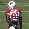 Anquan Boldin