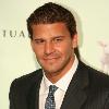 Actor David Boreanaz