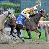 Rachel Alexandra winning the 2009 Woodward Stakes