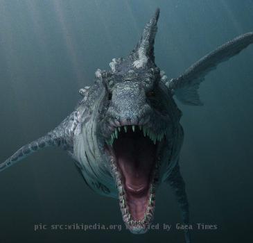 A picture of the Dinoshark