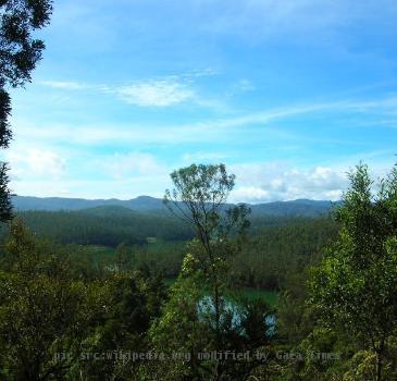 Nilgiri Hills in Tamil Nadu