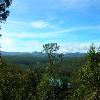 Nilgiri Hills in Tamil Nadu