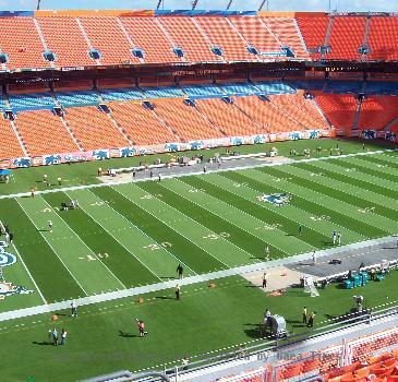 The interior of Dolphin Stadium