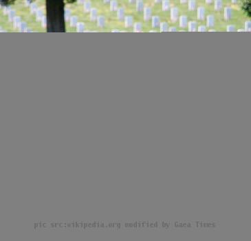 Picture of graves decorated with flags at Arlington National Cemetery on Memorial Day 2008.