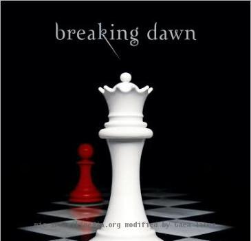 This is the book cover of the novel Breaking Dawn, by Stephanie Meyer which will be published in 2008.