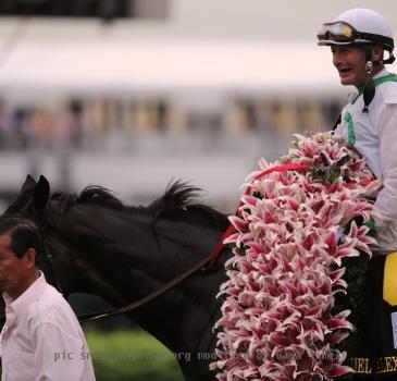 This is a picture take on May 1st, 2009 at 550pm after the Kentucky Oaks as Rachel Alexandra was walking into the winners circle. The picture is taken from the track apron.