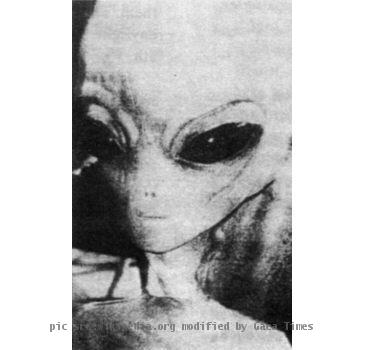 Supposedly authentic image of an alien Grey