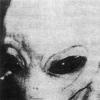 Supposedly authentic image of an alien Grey