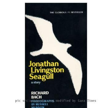 Book cover for Johnathan Livinston Seagull