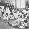Photo from "The Foundations of Japan Notes Made During Journeys Of 6,000 Miles In The Rural Districts As A Basis For A Sounder Knowledge Of The Japanese People", by J.W. Robertson Scott, published 1922