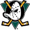 In 1996 97 Western Conference Quarterfinals the Anaheim Mighty Ducks made their first playoff appearance and they defeated the Phoenix Coyotes in seven games  In 2005  Broadcom co founder