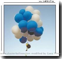 South Bend Tribune  September 1st 2008