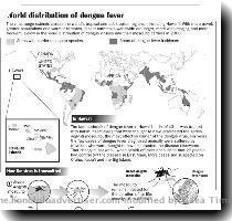 Map  World distribution of dengue fever