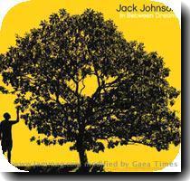 Soft rock meets blues  That best sums up Jack Johnson s music  Research reveals that this guy was a professional surfer until a terrible