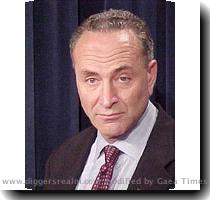 One of my Senators in Congress is Charles  Chuck  Schumer  He s been in the Senate for a very long time  since 1981  Chuck Schumer is a Democrat and can often be found floating around the