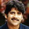 www telugucinema com Friday  February 24  2006 With Sri Ramadasu gearing up for release  Nagarjuna is preparing for his next film that begins from March 16th  Produced by his close friend D Shiva Prasad Reddy on Kamakshi Arts banner  the