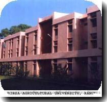 Birsa Agricultural University  established in the year 1981 on 26th June with three College  viz   Ranchi Agricultural College  Ranchi Veterinary College and College of Forestry  all located in one campus  is the first of its kind established in the tribal belt of eastern zone of our country with