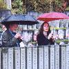 The tourist gaze  Nelson Graburn and Naomi Leite aim their cameras in Kyoto