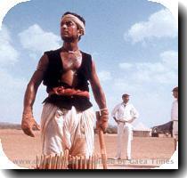 Wicket good The nearly four hour Bollywood extravaganza  Lagaan  tells how one town s spirit took on the British colonialists armed with nothing but wild dance numbers and cricket