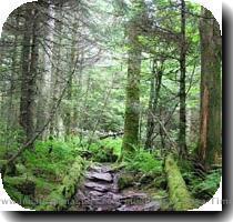 Williamstown  the Trail winds through the Berkshires before going on to cross the Hoosic and Housatonic Rivers  One peak it climbs is Mount Greylock  3491    the highest point in the state  Here are a number of great resources for you to get great information regarding the Appalachian Trail