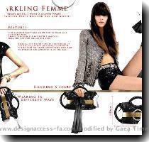 PARTY Students Group Wong Po Ming  Johnny  Hong Kong Polytechnic University  Hong Kong