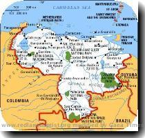 bad guy  the thing that Jeff Daniels and John Goodman were fighting in the  apparently Oscar worthy  movie Arachnophobia  Netty  Oh    You mean that it is the ferocious off spring of a deadly Venezuelan spider  that made it s way to America in the coffin of a dead nature photographer  and a Colorado spider  Dahling  That s fascinating Jemima  Yes  well  do you think that we should