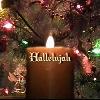 Hallelujah Lyrics as Performed by Allison Crowe Hallelujah piano instrumental version Hallelujah Lyrics as Performed by Allison Crowe Hallelujah piano instrumental version