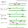 on in your web browser  If you don t know how to do this  go to the HELP MENU   To complete this exercise  answer the following questions  1  How does PCR work  If you are not sure  look at this diagram   Once upon a time there was a King who had a beautiful daughter  Many Princes asked to marry her  To each of them  the King said  If you want to marry the Princess