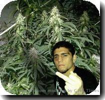 A tough night in so many different ways  Photo courtesy of SI com  Even our supercomputer had trouble dealing with the data from a bizarre main event at UFC 97  We had