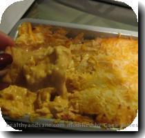 The trivet is where the buffalo chicken dip went  And here is my first bite  Rest of the food close ups  I guess we had a lot of random dips with chips  Little crostinis with roasted red peppers cream sauce  laughing cow cheese and pork tenderloin