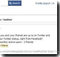 Click on the Official Twitter application  ie Developer is Twitter   Click on <Go to application>