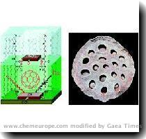 Fullerenes well trapped