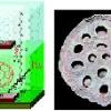 Fullerenes well trapped