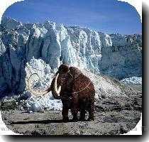 WP00011  Woolly Mammoth