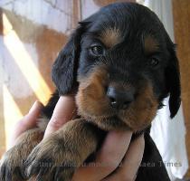 ????????? ?????? ?????????? ????? ????????????? ??????