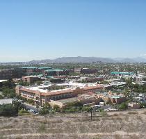 Canyon Road and visit Palm Canyon to see Arizona s only native palm trees  Go north on US Hwy 95 to Quartzsite and head east on I 10 back to the Valley of the Sun and my hometown of Tempe