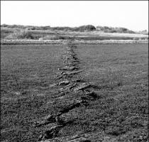 Imperial Valley  California  Earthquake October 15  1979  Rupture  or  mole track   on the Imperial Fault in a field south of Heber Road  2 4 kilometers northwest of the southeast end of the