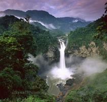 camera along while exploring the Amazon Rainforest and the Pacific Coast  Feel free to indulge in various adventurous activities like trekking  climbing  hiking and birdwatching at Ecuador  Accommodation Staying in Ecuador is not a problem with the presence of so many elite hotels like Grand Hotel Mercure  Radisson Royal  J W Marriott Hotel  Crowne Plaza  Hilton Colon