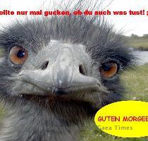 W�nsche auch allen einen sch�nen Freitagmorgen