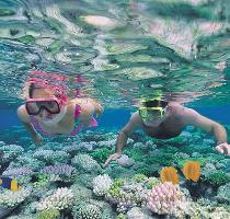 Green Island Cruises  Cairns Cruise Company Big Cat Reef Cruises