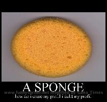Sponge