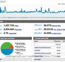 en las pol�ticas a seguir para generar m�s visitas  m�s p�ginas vistas  m�s hits y otras cosas que nos ayudar�n a posicionarnos mejor en los buscadores y por ende generar m�s ingresos  En mi caso consulto Google Analytics y