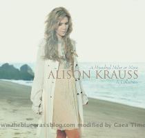 alison collection jpg www thebluegrassblog com More on Yahoo Images