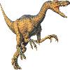 Diet  Meat Velociraptor  The Swift Thief Length  5  6 ft Height  3 ft at the hips Weight  15   33 lbs