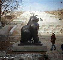 Ecco il bel baffone a Barcellona   sulla Rambla de Raval e un altro  impavido nella neve  nell Upper East Side di New York E uno ancora donato dall autore alla citt� di Yerevan   in Armenia   Poi  il micio del 1999  nella foto  ben sistemato in Campo Santo Stefano durante una mostra dell artista a Venezia   Ma non ci sono solo sculture  anche se le