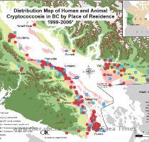 of Vancouver Island and BC  In addition we have identified Cryptococcus gattii in soil  air and water samples from many different parts of BC  Click here for a sampling map of the Cryptococcus gattii distribution in BC