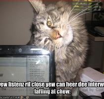 if yew listenz ril close yew can heer dee interwebz laffing at chew  kittehs jus lurv 2 watch