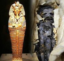 Enlarge One of the mummified foetuses  right  found in the Pharaoh s tomb alongside golden treasures Professor Connolly said   The two foetuses in the tomb of Tutankhamun could be twins despite