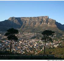 Hikes up Table Mountain and Lion s Head